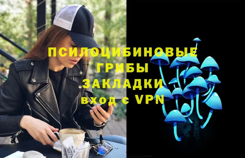 Псилоцибиновые грибы Magic Shrooms  Бородино 